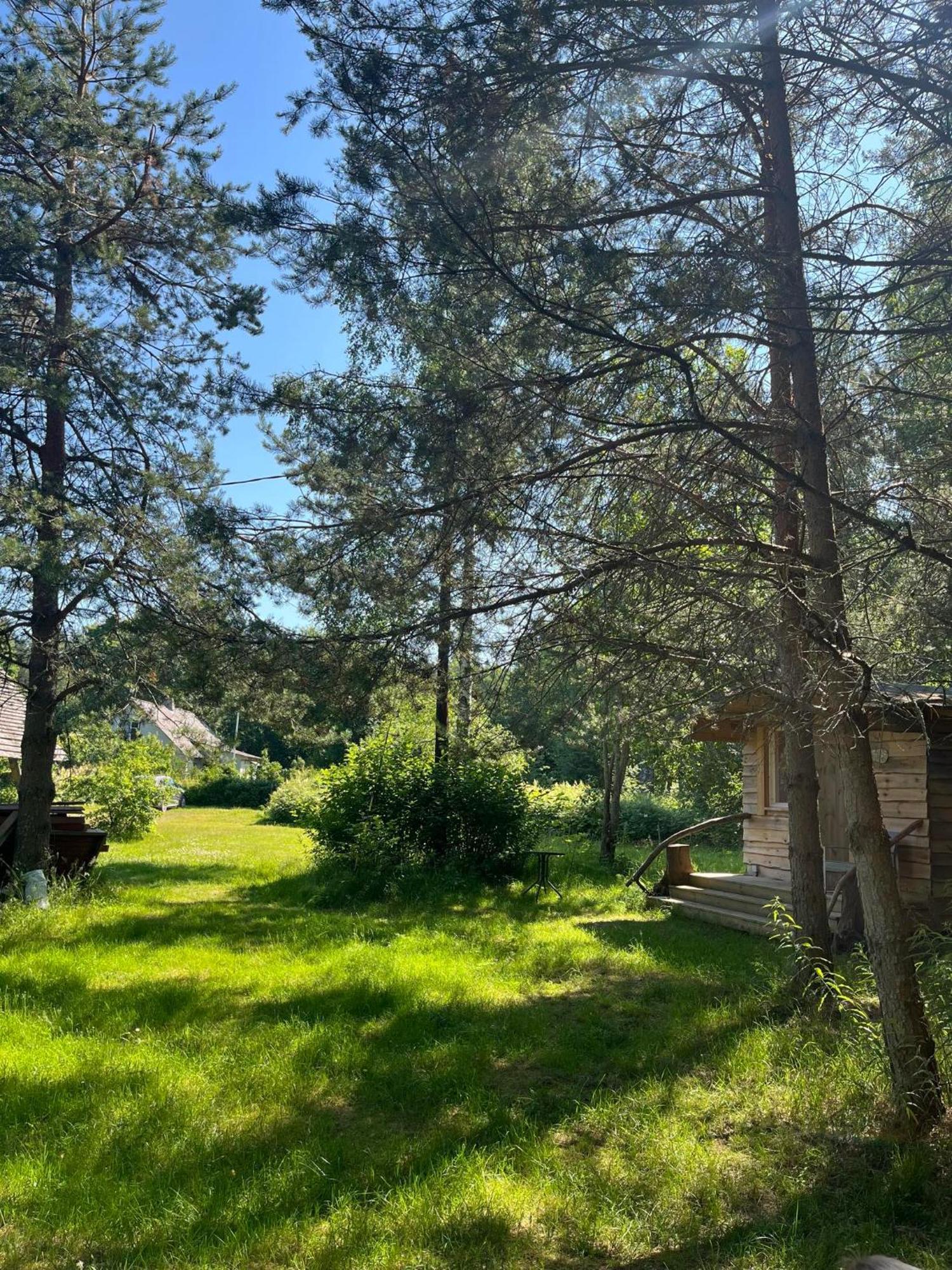 Moori Metsaonn- Forest Hut Campingplatz